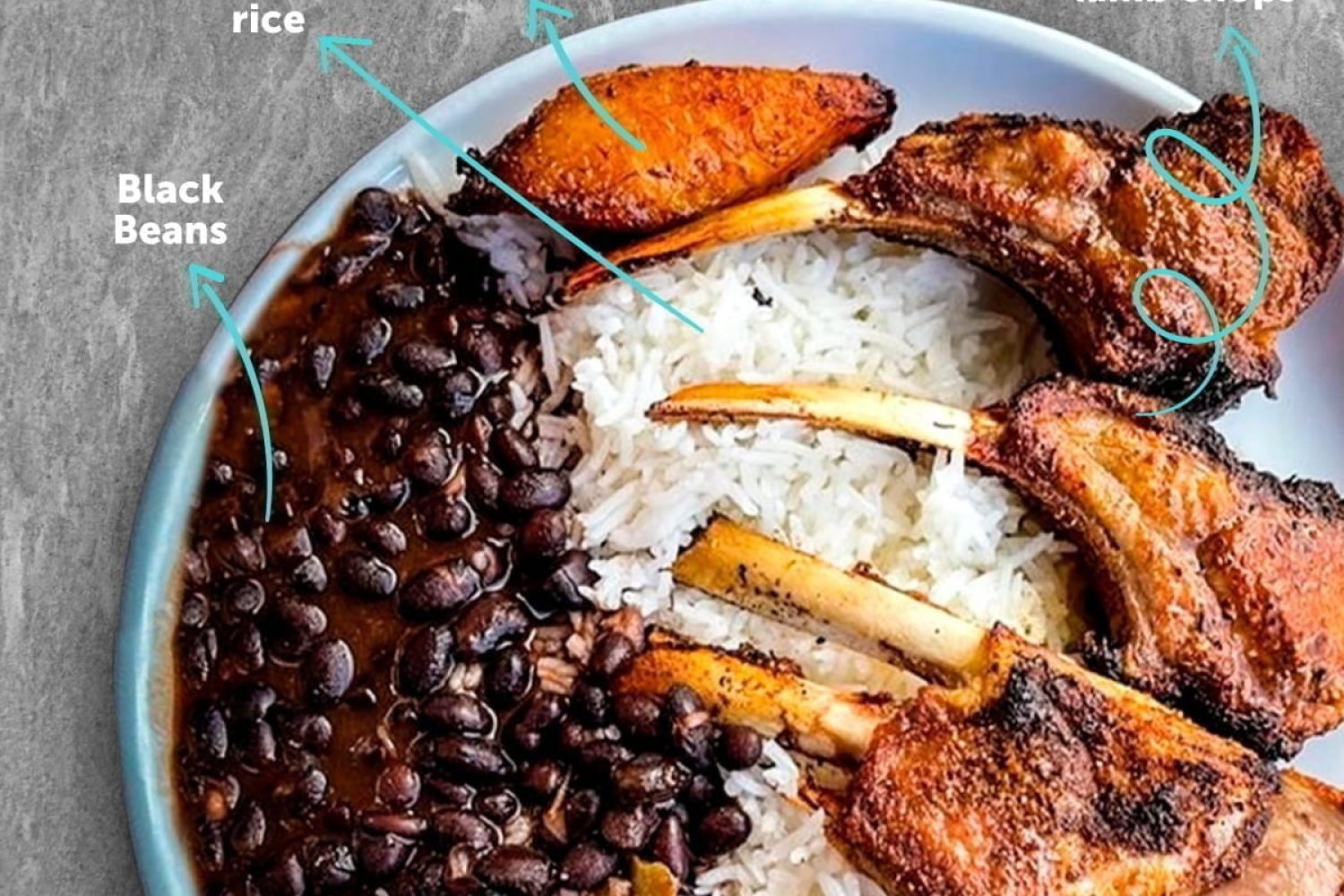 post-lamb-plate-flechas_Mesa de trabajo 1